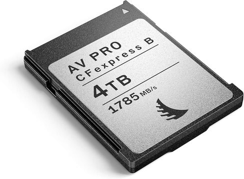 Angelbird - AV PRO CFexpress B MK2-2 TB - CFexpress Type B Memory Card - Largest Capacity Advanced Performance - for Cinematography, High-Bitrate Video, and Photo - up to 12K+ RAW in Saudi Arabia