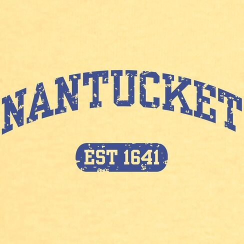 CafePress Nantucket EST 1641 Toddler T Shirt Cute Toddler Graphic Tee, 100% Cotton in Kuwait