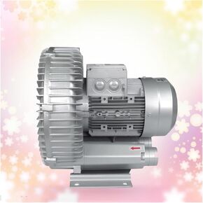 Regenerative Blower,Vortex Ring Blower, 110V Regenerative Blower Single Phase Vortex Ring Blower Industrial Vacuum Pump for Air Blowing Or Suction(250W/0.33HP)