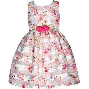 بوني جان جيرلز 3M-6X Burnout Stripe Organza Flower Flower Dress