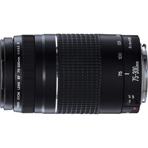 Canon EF 75-300mm f/4-5.6 III Telephoto Zoom Lens for Canon SLR Cameras (Renewed)