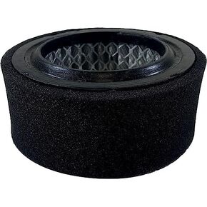 Replacement Air Intake Filter For Grainger 4ZJ93, 5A717, 1R416