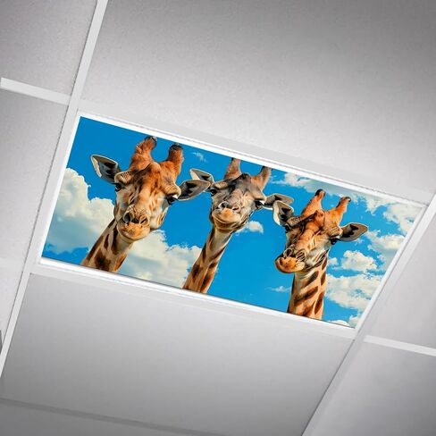 Fluorescent Light Covers for Ceiling Lights -Magnetic Cloud Cover for Fluorescent Or LED Fixture 2ft x 4ft Classroom,Home,Office Decoration Filters Overhead Lighting-Three giraffes in Saudi Arabia