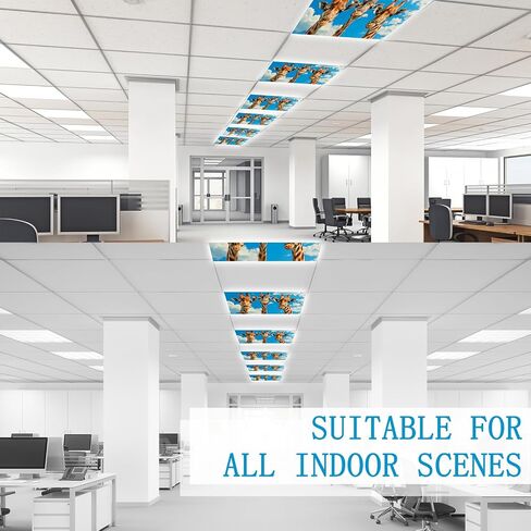 Fluorescent Light Covers for Ceiling Lights -Magnetic Cloud Cover for Fluorescent Or LED Fixture 2ft x 4ft Classroom,Home,Office Decoration Filters Overhead Lighting-Three giraffes in Saudi Arabia