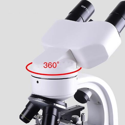 مجموعة مختبر الأطفال الطالب المجهر (الحجم: 2400x و Probe 50) (800x) in Kuwait