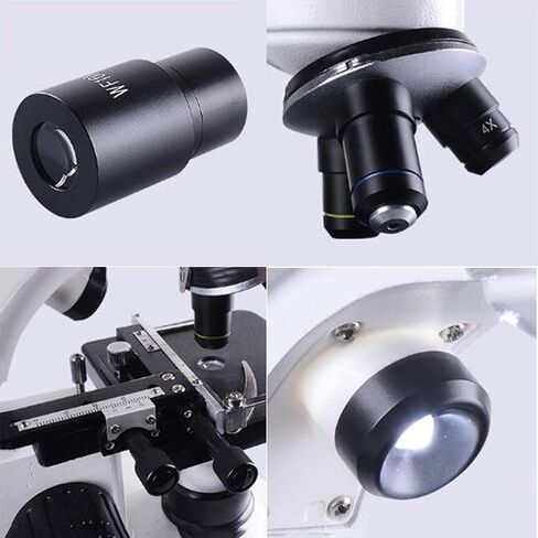 مجموعة مختبر الأطفال الطالب المجهر (الحجم: 2400x و Probe 50) (800x) in Kuwait