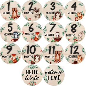 7 Pcs Baby Monthly Milestone Marker Discs Woodland Animal Monthly Milestone Wooden Discs Double-Sided 3D Baby Growth Sign Cards for Babies Photos Announcement Sign, 1-12 Months