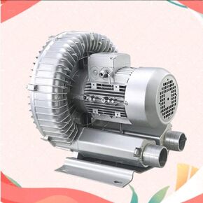 Regenerative Blower, Vortex Blower, 110V 50Hz Single Phase, High-Pressure Vortex Ring Blower, Industrial Vacuum Pump for Air Blowing(120W/0.16HP)