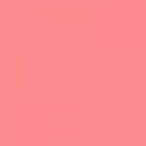 Rosco Roscolux #33 No Color Pink Gel Filter