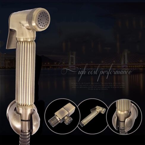 HandheldSprayer for Toilet Brushed Brass Portable Baby Cloth Diaper Sprayer Hand Held ToiletSprayer Head withHose and Bracket for Feminine Wash, Easy to Install,A(B) in Saudi Arabia