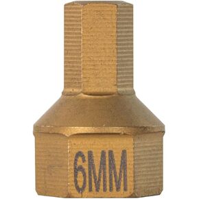 DUAL DRIVE-6 MM HEX BIT