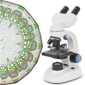 40X-1000X Magnification LED Binocular Compound Microscope, Professional Educational Microscope for Students, Teachers, and Hobbyists