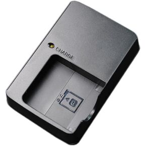 BC-CSGB NP-BG1 NP-FG1 Battery Charger for Sony Compatible with Sony Cybershot DSC-HX5V,DSC-HX9V,DSC-W30,DSC-W35,DSC-W50,DSC-W55,DSC-W70,DSC-W80,DSC-H10,H20,H50,H55,H70,H90 Camera & 100cm AC Power Cord