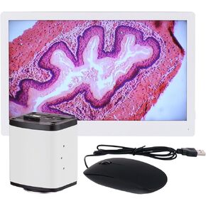 AMSCOPE-1080P 15 إطارًا في الثانية 5MP HDMI CLOSS CMOS C-MOUNT CAMPAR