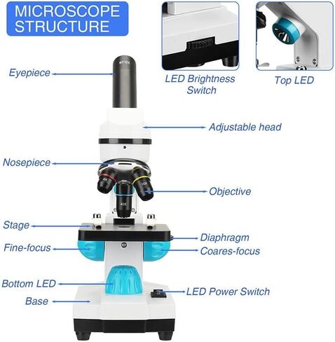 Microscope Kit 100X-2000X Biological Microscopes, with Slides Microscope Lens Adapters (White 2000X) in Saudi Arabia