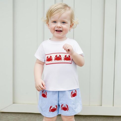 Toddler Little Boy Shorts Set Seafood Embroidered Short Sleeve T-shirts Plaid Elastic Waist Shorts Summer Clothes in Kuwait