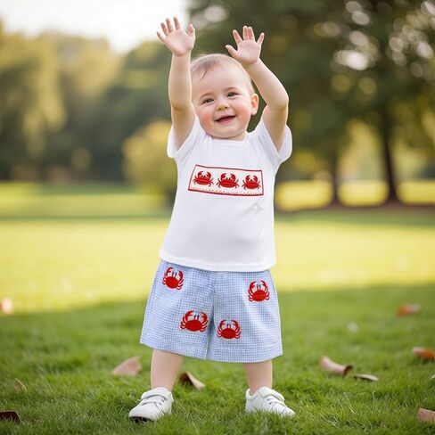 Toddler Little Boy Shorts Set Seafood Embroidered Short Sleeve T-shirts Plaid Elastic Waist Shorts Summer Clothes in Kuwait