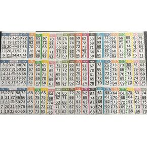 The Ticket Gurus-Bingo Paper Game Cards - 3 Cards per Sheet - 18 Sheets - 50 Books of 18 Sheets