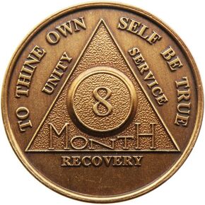 8 Month Bronze AA (Alcoholics Anonymous) - Sober / Sobriety / Birthday / Anniversary / Recovery / Medallion / Coin / Chip by Generic