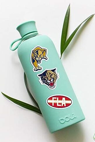32 PCS Set of Florida Vinyl Panthers Stickers Pack Florida Decal Panthers 2-2.5 inches Product Name in Kuwait