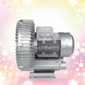High-Pressure Vortex Ring Blower, Vortex Ring Blower Industrial Vacuum Pump 0.16HP 0.24HP 0.33HP 0.47HP For Air Blowing Or Suction(120W/0.16HP)