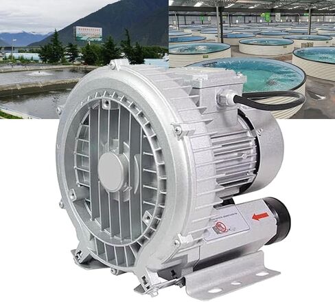 منفاخ تجديدي ، 120W-1100W مضخة الهواء الكهربائية ، 220 فولت مضخة المياه لتهوية ماء مياه الصرف الصحي التهوية in Kuwait