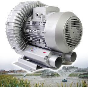 High-Pressure Vortex Ring Blower, Aquaculture Air Pump, Regenerative Blower for Sewage Aeration Aquarium Pond,750W/1.0HP