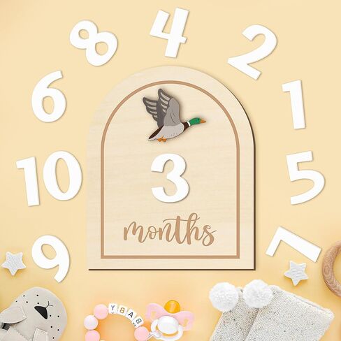 R Horse Baby Monthly Monthly Cards ، 14pcs 3d Mallard Duck Wooden Monthly Divis مع بطاقات الأرقام ، شهور حديثي الولادة علامات الإعلان عن استحمام الطفل هدايا للبنات الفتيات in Saudi Arabia