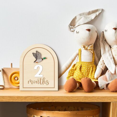 R Horse Baby Monthly Monthly Cards ، 14pcs 3d Mallard Duck Wooden Monthly Divis مع بطاقات الأرقام ، شهور حديثي الولادة علامات الإعلان عن استحمام الطفل هدايا للبنات الفتيات in Saudi Arabia