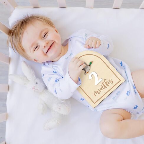 R Horse Baby Monthly Monthly Cards ، 14pcs 3d Mallard Duck Wooden Monthly Divis مع بطاقات الأرقام ، شهور حديثي الولادة علامات الإعلان عن استحمام الطفل هدايا للبنات الفتيات in Saudi Arabia
