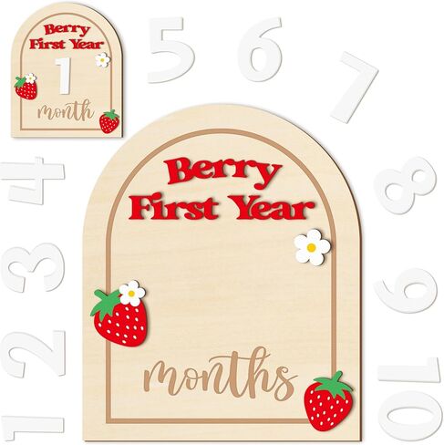 R Horse Baby Monthly Monthly Cards ، 14pcs 3d Mallard Duck Wooden Monthly Divis مع بطاقات الأرقام ، شهور حديثي الولادة علامات الإعلان عن استحمام الطفل هدايا للبنات الفتيات in Kuwait