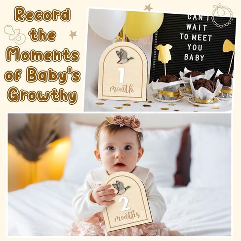 R Horse Baby Monthly Monthly Cards ، 14pcs 3d Mallard Duck Wooden Monthly Divis مع بطاقات الأرقام ، شهور حديثي الولادة علامات الإعلان عن استحمام الطفل هدايا للبنات الفتيات in Saudi Arabia