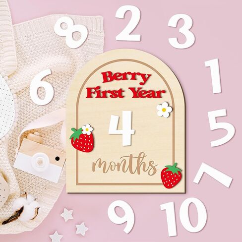 R Horse Baby Monthly Monthly Cards ، 14pcs 3d Mallard Duck Wooden Monthly Divis مع بطاقات الأرقام ، شهور حديثي الولادة علامات الإعلان عن استحمام الطفل هدايا للبنات الفتيات in Kuwait
