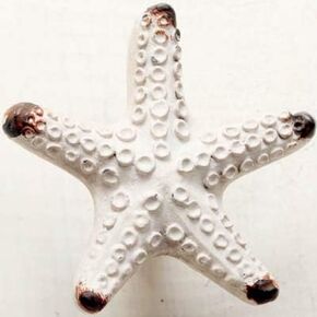 European-style Mediterranean Handle Simple Starfish Small Handle and Knob Children's Bedroom Drawer Door Small Starfish Handle - (Color: Milky white starfish)