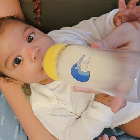 Multipurpose Anti-Colic Glass Baby Bottles with Slow Flow and Natural Flow Nipples, Breast Milk Collection and Storage Bottles, Wide-Neck Breast Pumps Compatible, 6-Pack (8oz) in Saudi Arabia