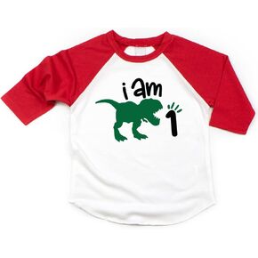 One Birthday Dinosaur Shirt for Boys First Birthday Dinosaur Outfit