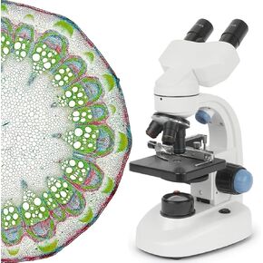 40x-1000x Magnification Led Binocular Compound Microscope,Professional Compound Microscope, Ideal Microscope for Teachers and Students