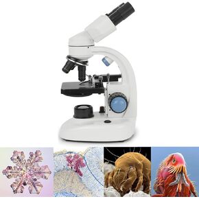 40X-1000X Binocular Compound Microscope, Filter Biological Student Binocular Stereo Microscope with Dual Illumination, Mechanical Stage, Lab Microscope for Students and Adults