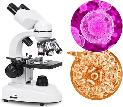 Binocular Compound Microscope, 40X-6000X/ 10000X/ 20000X Magnification, Brightfield, LED Illumination, Sliding Head, High-Resolution Optics, Lab Binocular Microscope for Kids and Adults (D6000x ) in Kuwait
