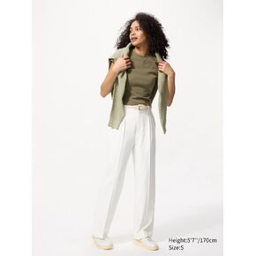 Uniqlo Pleated Wide Pants
