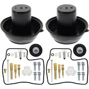 2PCS Carburetor Repair Kit Rebuild Set Compatible with Honda Steed Shadow VLX 600 VT600C VT600CD Deluxe Diaphragm 1994 1995 1996 1997 1998 1999 2000 2001 2002 2003# MCK031X2