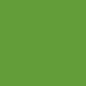 Rosco 4460 Calcolor 60 ورقة هلام الإضاءة الخضراء 20 "x24"