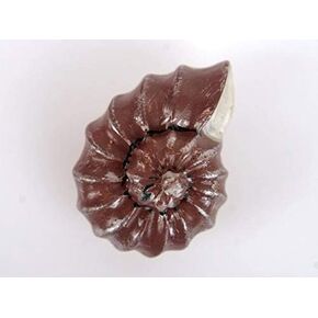 10Pcs/Lot Child Sea Style Colour Prawn Kit Cabinet Handle and Knobs - (Color: Yellow) (Yellow)