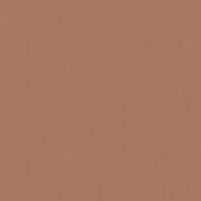Rosco Roscolux Chocolate ، 20x24 "Color Effect Filter Filter