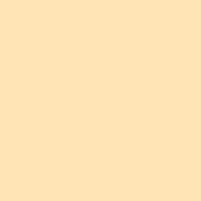 Lee Filters Zircon Warm Amber 6 24"x24" Gel Filter Sheet
