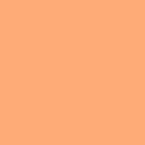 Rosco Roscolux #303 Warm Peach Filter, 20x24" Sheet