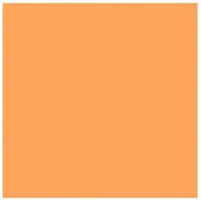 Rosco Roscolux Gallo Gold ، 20x24 Color Effect Lighting Filter