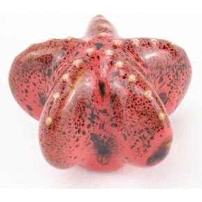 5x Starfish Ceramic Cabinet Drawer Knobs Porcelain Kids Wardrobe Bandles for Closet Courboard Mitry Furniture Hooks - (Color: Red)