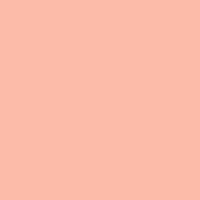 Rosco Roscolux #304: Pale Apricot Gel Filter