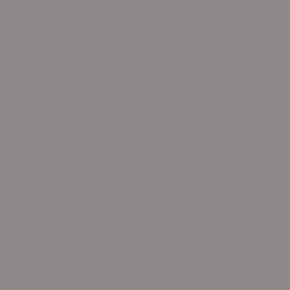 Rosco Roscolux 98 Medium Gray Lighting Gel Filter Sheet 20 "x24"